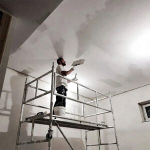 the-master-is-plastering-the-ceiling